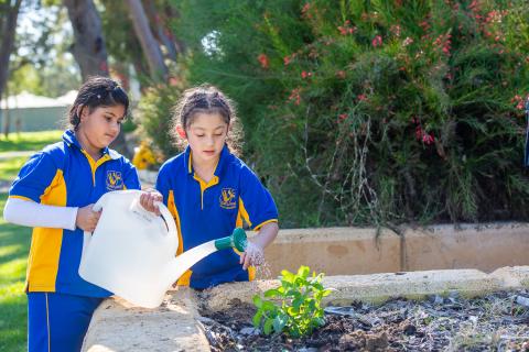 Students caring for the garden