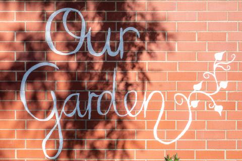 Our garden